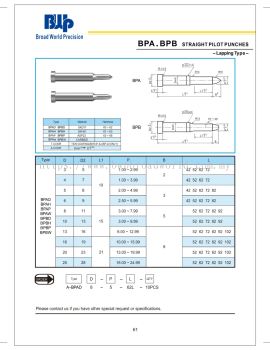 BPA.BPB Straight Pilot Punches (Lapping type)