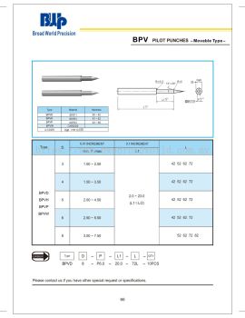 BPV Pilot Punches (Movable type)
