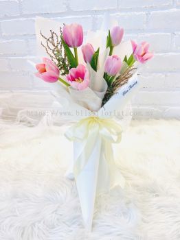 (V) Pink Tulips