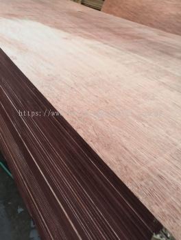 Plywood 6mm