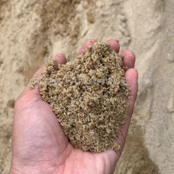 Coarse Sand (6 & 10 Tyre)