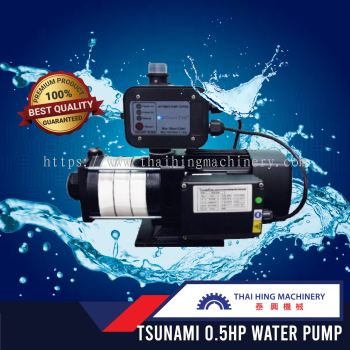 Tsunami 0.5HP Water Pump