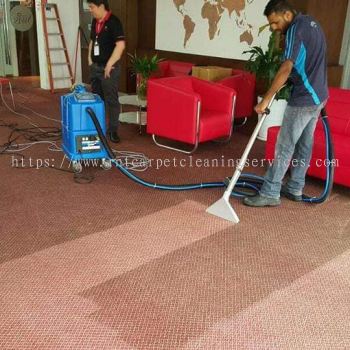 Carpet & Upholstery Sanitizer 每Anti-Allergen Solution