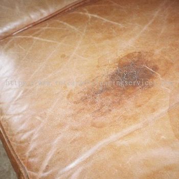 Stain & Spot Removal