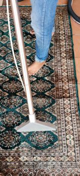 Persian Rugs Cleaning 