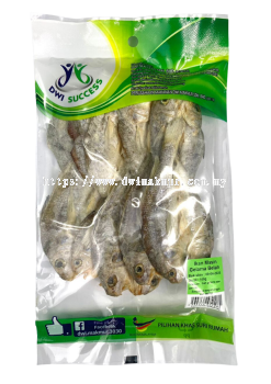 Ikan Masin Gelama Belah 100G RM3.90 X5 Paket C.Dwi Success