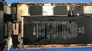 Phone Water Damage Repairing