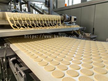 Food Grade Belt Conveyor