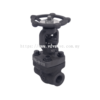 AUTOMA Forge Steel Gate Valve Class 800# Thread End NPT / Socket Weld