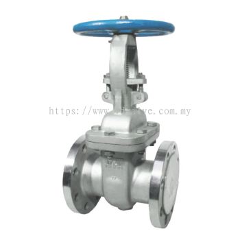 ARITA Stainless Steel Gate Valve Flanged End ANSI 150LBS