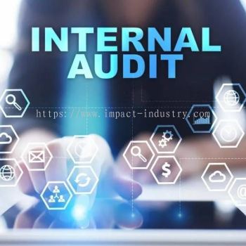 ISO 45001_ 2018 Internal Auditing