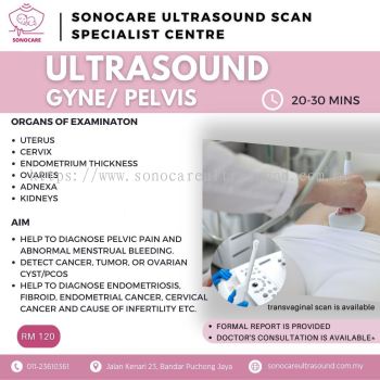 Female Pelvis Ultrasound