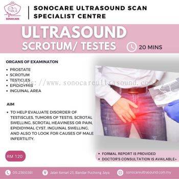 Sistem Pembiakan Lelaki / Ultrasound Skrotum