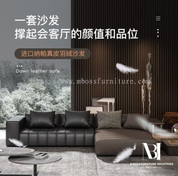 Italy Sofa Leather or Fabric 01