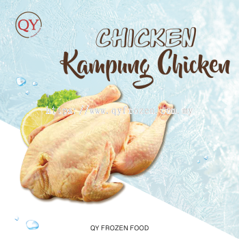 Kampung Chicken 【1.6KG-1.8KG +-】