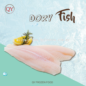 Dory Fish¡¾Wholesale¡¿