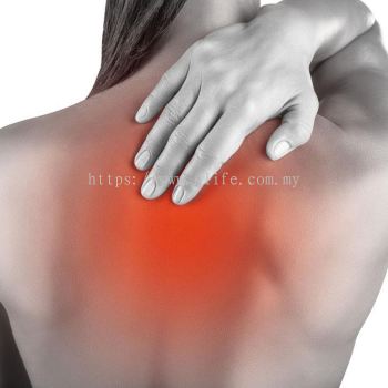 Back Pain Treatment ��ʹ�������Ʒ���