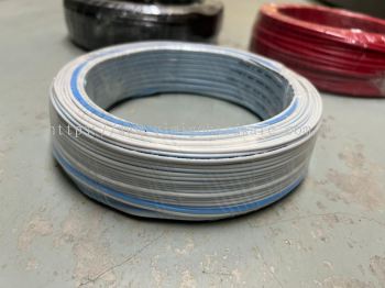 Twin Flat Wire Blue/White