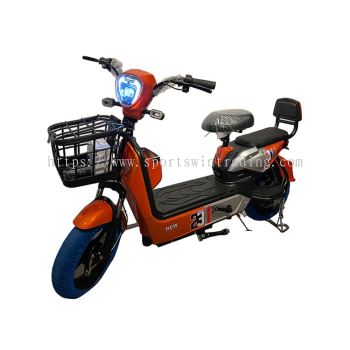 SW100 Electric Bike