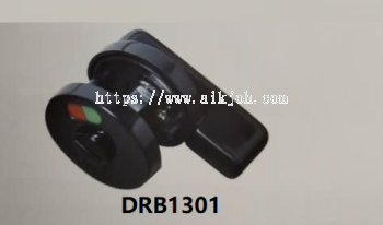 DRB1301