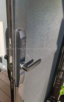 Aluminium Security Mesh Door