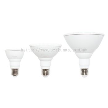 Perkunas LED Par Lamp