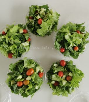 Freshly harvest salad box