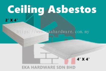 Ceiling Asbestos