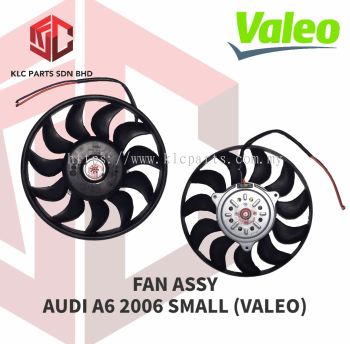 FAN ASSY AUDI A6 2006 SMALL (VALEO)