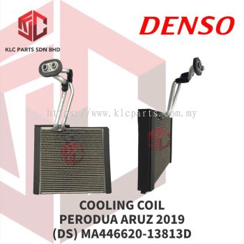 COOLING COIL PERODUA ARUZ 2019 (DS) MA446620-13813D