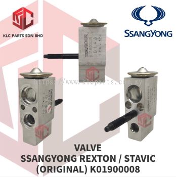 VALVE SSANG YONG REXTON / STAVIC (ORIGINAL) K01900008