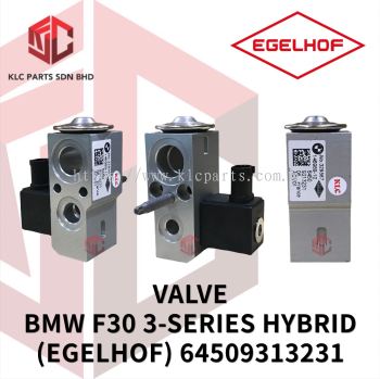 VALVE BMW F30 3-SERIES HYBRID SOLENOID (EGELHOF) 329567 / 64509313231