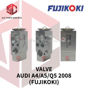 VALVE AUDI A4/A5/Q5 2008 (FUJIKOKI) 20QTEX-62