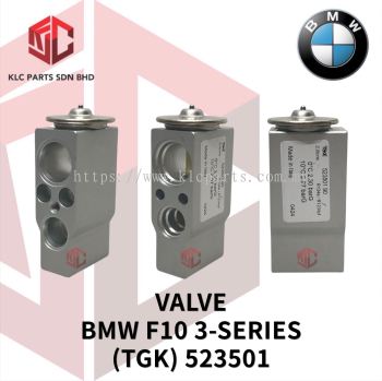 VALVE BMW F10 3-SERIES (TGK) 523501