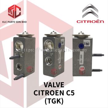 VALVE CITROEN C5 (6/8)(TGK)