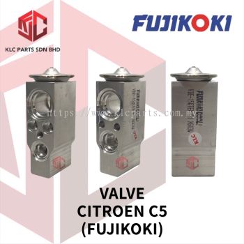 VALVE CITROEN C5 (FUJIKOKI)