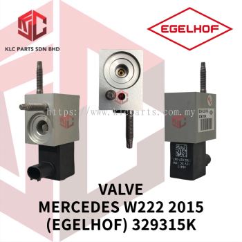 VALVE MERCEDES W222 2015 SHUT-OFF (2 SCREW)(EGELHOF) 329315K