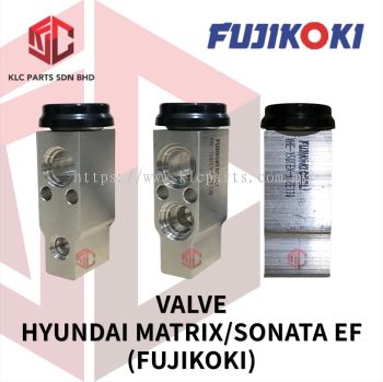 VALVE HYUNDAI MATRIX / SONATA EF (FUJIKOKI) VHE15QTEX9