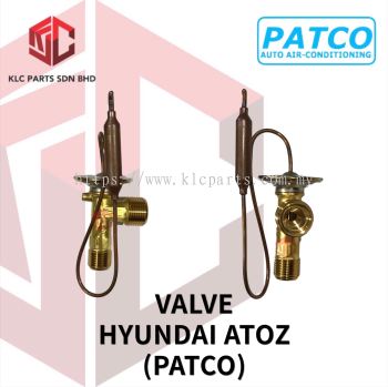 VALVE HYUNDAI ATOZ (PATCO)