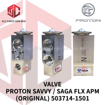 VALVE PROTON SAVVY / SAGA FLX APM (ORIGINAL) 503714-1501