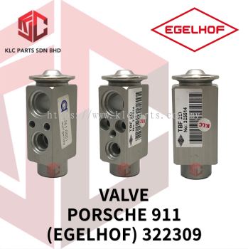 VALVE PORSCHE 911(EGELHOF) 322309