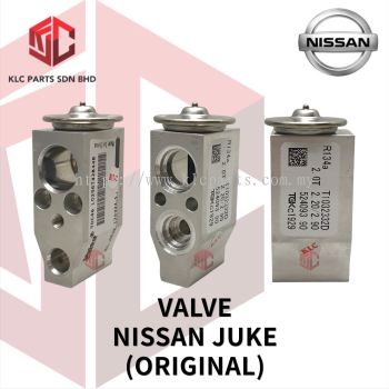 VALVE NISSAN JUKE (ORIGINAL)