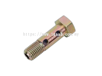 Scania Banjo Screw 17384