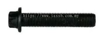 Scania Screw 1732524