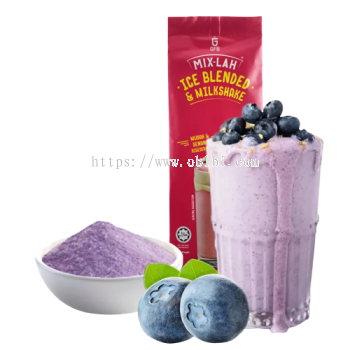 ICE BLENDED BLUEBERRY 1KG/ 1CTN