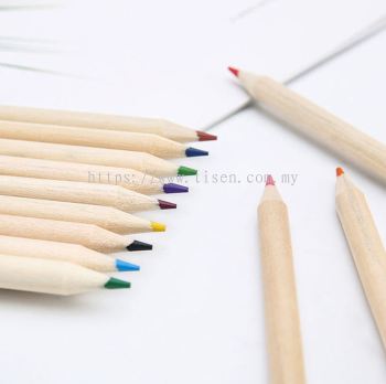 Eco Friendly Color Pencil - 01