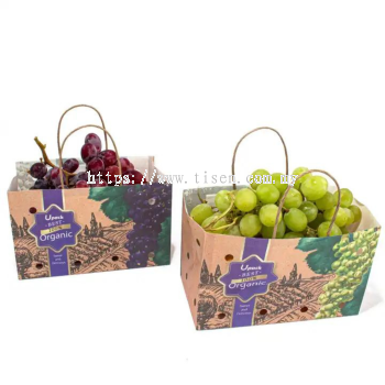 Customized Wet Strength Fruit Paper Bag with Twisted Handle