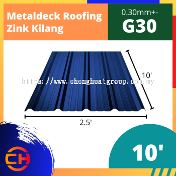 METALDECK ROOFING G30 [10']