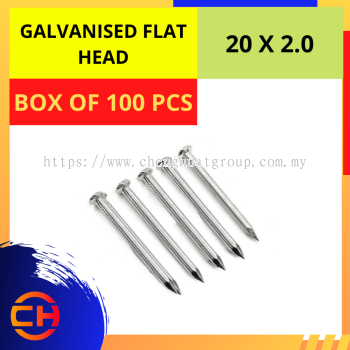 GALVANISED FLAT HEAD NAIL [20 X 2.0]