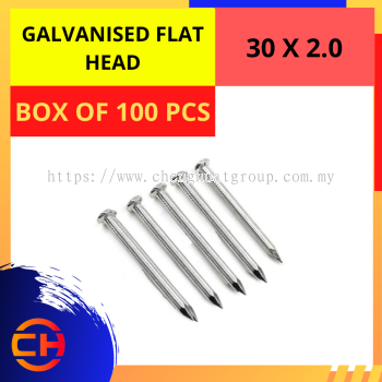 GALVANISED FLAT HEAD NAIL [30 X 2.0]